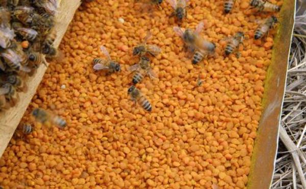 ���۵Ĺ�Ч������ ������ʲô����������ֵ